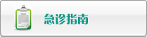 女人插死你骚逼视频